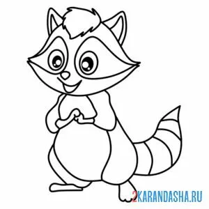 Раскраска енот шаловливый