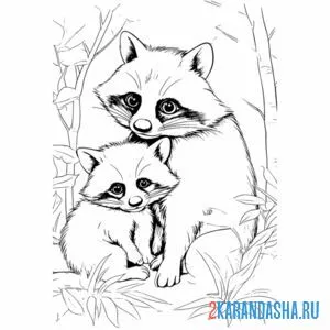 Раскраска мама енот и малыш