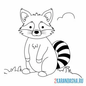 Раскраска одинокий енот