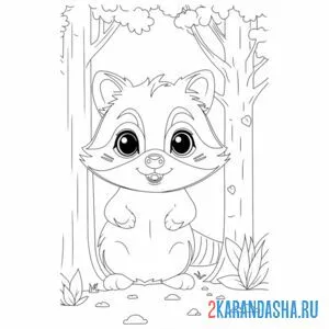 Раскраска лесной енот