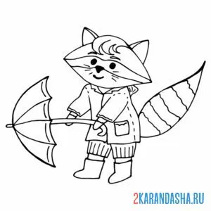 Раскраска енот и зонтик