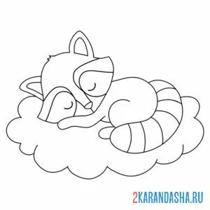 Раскраска енотик спит
