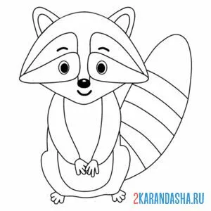 Раскраска скромный енот