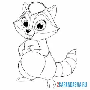 Раскраска красивый енот