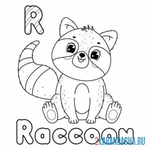 Раскраска енот raccoon
