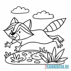 Раскраска енот убегает