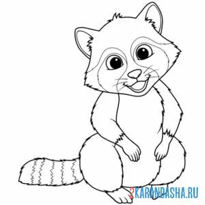 Раскраска енот красавчик