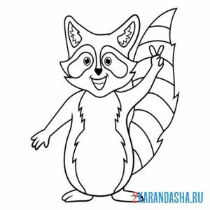 Раскраска привет от енота