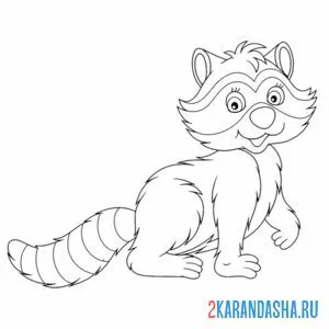 Раскраска енот во весь рост