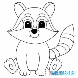 Раскраска енот маленький