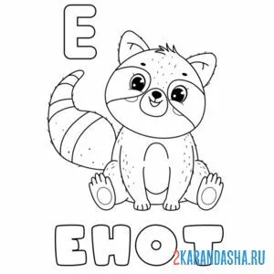 Раскраска енот буква е