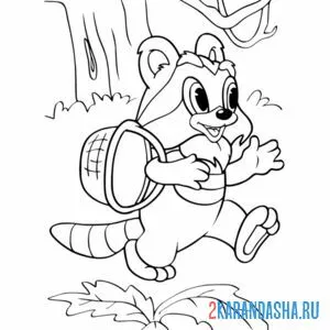 Раскраска крошка енот