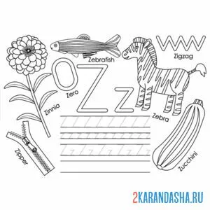Раскраска английские прописи буква z