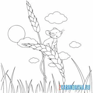 Раскраска полевая мышь
