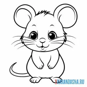 Раскраска мышонок и хвостик