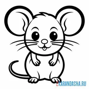 Раскраска круглый мышонок