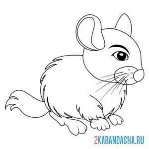 Раскраска полевая маленькая мышь