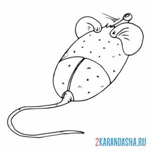 Раскраска компьютерная мышка с ушами
