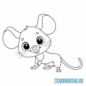 Раскраска мышка