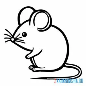 Раскраска мышка сбоку