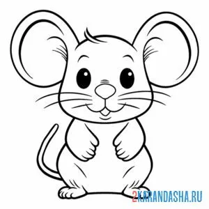 Раскраска мышка с ушами