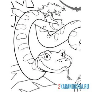 Раскраска большая змея на дереве