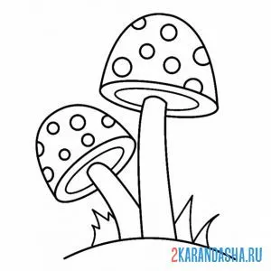 Раскраска два мухомора