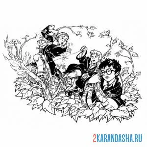 Раскраска гарри поттер, гермиона и рон