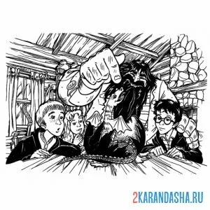 Раскраска гарри поттер и хагрид