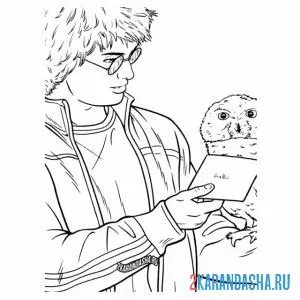Раскраска гарри поттер и письмо от совы