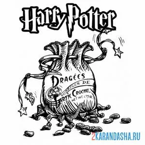 Раскраска гарри поттер мешок