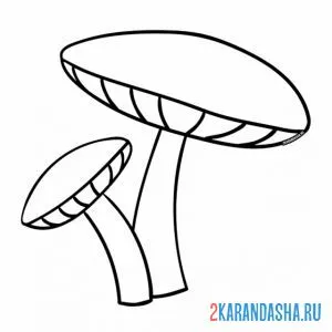 Раскраска гриб лесной