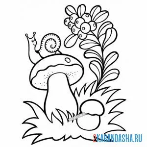 Раскраска гриб в лесу