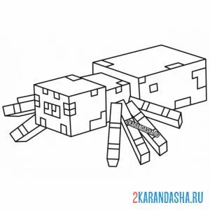 Раскраска животные, скин паука