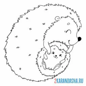 Раскраска мама ежик и ее малыш