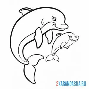 Раскраска дельфин мама и детеныш