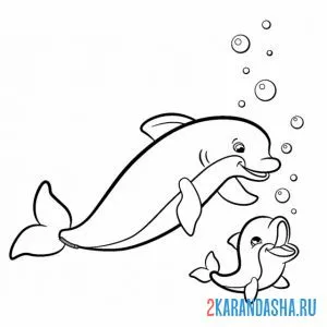Раскраска дельфин мама и детеныш резвятся