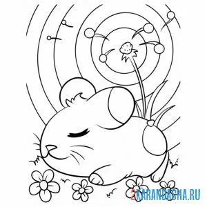 Раскраска мышка спит на одуванчике