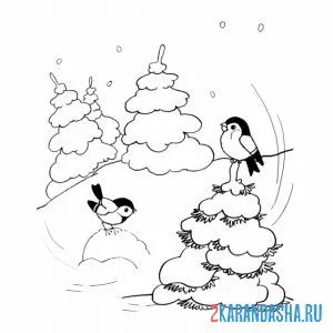 Раскраска синички в зимнем лесу
