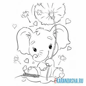 Раскраска слоник и одуванчик