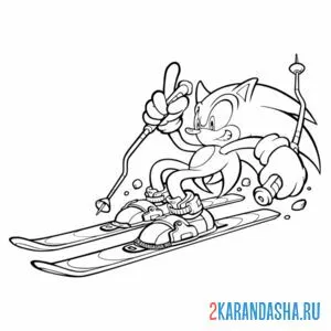 Раскраска соник на лыжах