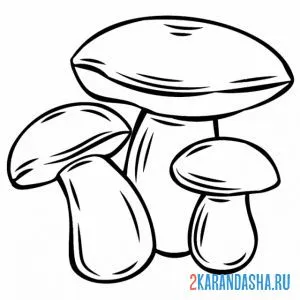 Раскраска три гриба