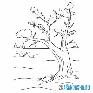 Раскраска зимнее дерево