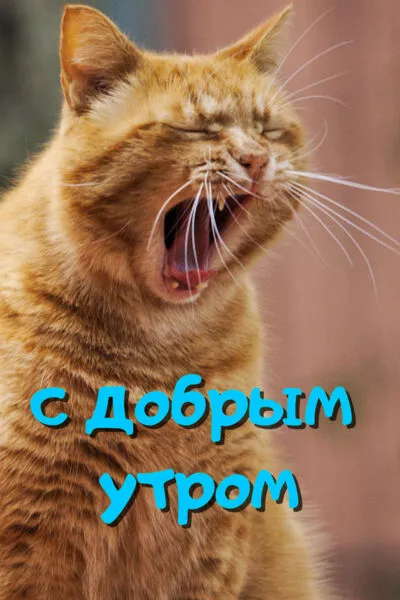 Картинка Доброе утро