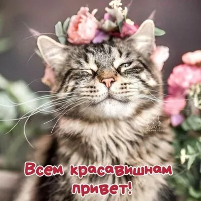 Картинка Доброе утро