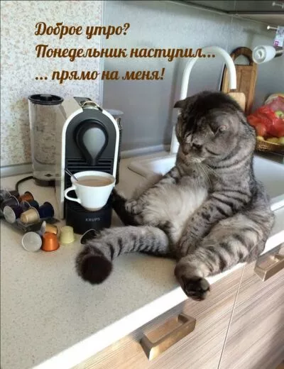 Картинка Доброе утро