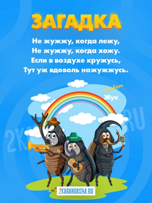 Загадки Жук