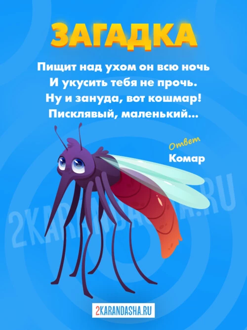 Загадки Комар