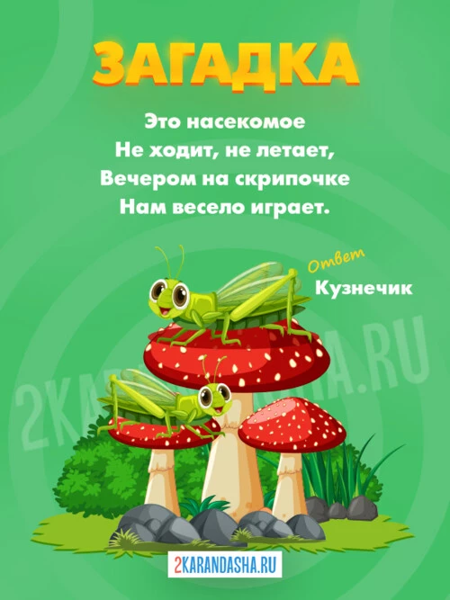 Загадки Кузнечик