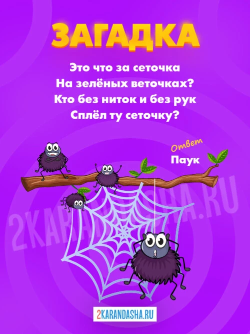 Загадки Паук